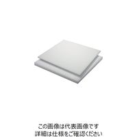 タキロン HDPE 10T×500×1000 白 TP-PE-PLATE-720A-10-500-1000 124-3603（直送品）