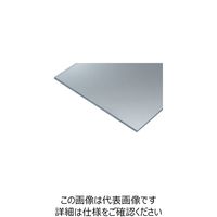 タキロンシーアイプラス タキロン 塩ビ高機能製品 制電プレート 透明TND77665 5MM TND77665 5 1X2 1セット(3枚)（直送品）