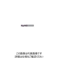 グーリングジャパン チョウコウエンドミル #3560 3560 20 1本（直送品）