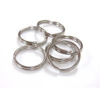 ニッサチェイン ニッケル鉄Wリング (500個入) IWR20-25 1箱(500個) 125-9729（直送品）