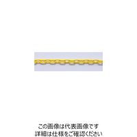 ニッサチェイン プラカラーリンク 10m巻 黄 R-PW30-Y 1巻(10m) 127-7157（直送品）