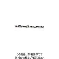 ニッサチェイン 鉄カラービクター 15m巻 黒 R-IV12E-BK 1巻(15m) 126-3016（直送品）
