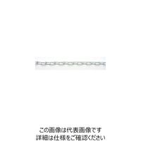 ニッサチェイン 鉄カラービクター 15m巻 白 R-IV12E-W 1巻(15m) 128-0352（直送品）