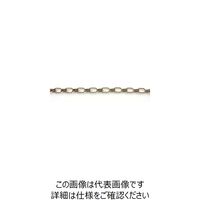ニッサチェイン 鉄カラーライト 15m巻 金 R-IR113E-GD 1巻(15m) 127-7226（直送品）