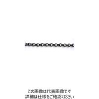 ニッサチェイン 鉄カラー二重 15m巻 黒 R-IR20E-BK 1巻(15m) 126-1424（直送品）