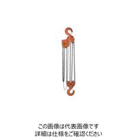 バイタル工業 バイタル チェンブロックVH5シリーズ VH5