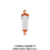 バイタル工業 バイタル チェンブロックVH5シリーズ 15t VH5-92 1台 851-5705（直送品）