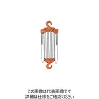 バイタル工業 バイタル チェンブロックVH5シリーズ 20t VH5-93 1台 851-5706（直送品）