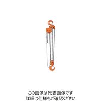 バイタル工業 バイタル チェンブロックVH5シリーズ 7.5t VH5-75 1台 851-5703（直送品）