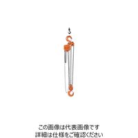 バイタル工業 バイタル チェンブロックVL5シリーズ 7.5t VL5-75 1台 851-5713（直送品）