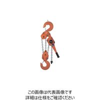 バイタル工業 バイタル ナイスレバーNR2 9t NR2-90 1台 851-5692（直送品）