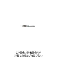 グーリングジャパン（GUHRING） ポイントタップ #4420 4420 16 1セット（2本）（直送品）