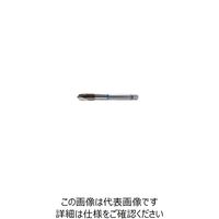 グーリングジャパン（GUHRING） ポイントタップ #4422 4422 2本