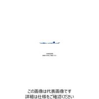 オーエッチ工業 ラッシングベルト LBB130 ZF10ー40ZF LBB130ZF10-40ZF 1個（直送品）