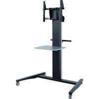 一ノ坪製作所 一ノ坪 ディスプレースタンド ビッグカニプラス TCDS-IC70N 1台 200-4379（直送品）