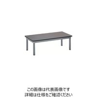ミズノ 応接セット用テーブル W1200XD600XH420 MWC-1200T 1台 101-0915（直送品）