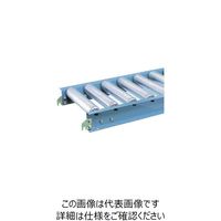 三鈴工機 三鈴 スチールローラコンベヤ MS57B型2.1T ローラー幅800P100 3.0m MS57B-801030 1本（直送品）