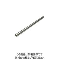 三好キカイ パイジョン SS09300EL 1本 238-6877（直送品）
