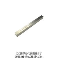 三好キカイ パイジョン SS10300SEC 1本 238-6854（直送品）