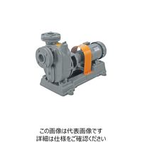 寺田 セルプラポンプ 鋳鉄製メカニカルシール式 0.2kw O-2MT