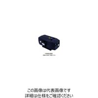 アルバック機工 真空ポンプ DSBー251 サン200V 1個（直送品）