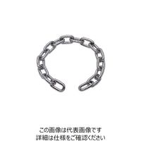 水本機械製作所 水本 ステンレス スーパーデフチェーン 全長1000mm 線径8mm D-106 1個 849-0368（直送品）