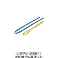 田村総業 田村 ラウンドスリング SSタイプ HEーW050×10.m 赤色 HEW0501000 1本 857-4801（直送品）