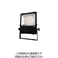 日機 充電式LED投光器 NLFL20B-S 1台 227-5811（直送品）