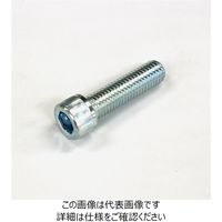TMEHジャパン 六角穴付きボルト ロッカクアナツキ M12X45 ユニクロメッキ 1セット(10本)（直送品）