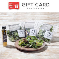 【手土産やお祝いの贈り物に】 「ANA x Ortolano」 ファーストクラスのサラダセット ギフトカード　二重封筒（直送品）