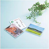 コクヨ インクジェットプリンタ用はがき用紙 光沢紙 郵便番 KJ-GP3635N 1袋（70枚入）
