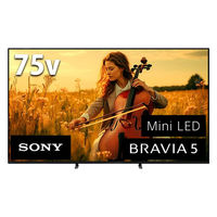SONY BRAVIA 4K液晶テレビ 75V型 K-75XR50 1台（直送品）