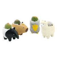 チャーム (多肉植物)おまかせプチサボテン 癒しアニマル 鉢おまかせ(1鉢) 368736 1鉢（直送品）