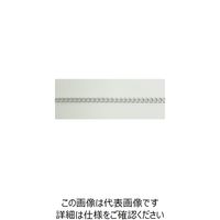 ニッサチェイン アルミカラーチェン 30m 銀 AS16F-SV 1本 126-9323（直送品）