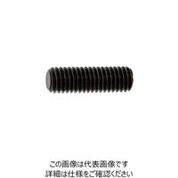 SUNCO HS(日産ネジ 平先 20×25 (80本入) A0-00-501N-0200-0250-00 1箱(80本)（直送品）