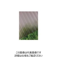 タキロンシーアイ タキロン ポリカ波板 32波 10尺 850ブロンズマット 217019 1セット（10枚） 849-5596（直送品）