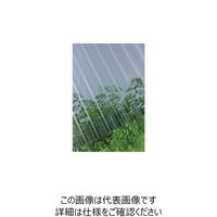 タキロンシーアイ タキロン ポリカ波板 32波 10尺 910グレースモーク 217095 1セット(10枚) 849-5601（直送品）