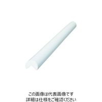 岩田製作所 IWATA バンパープロ コーナータイプ BP19 1m 白 BP19W-L1 1本 188-5006（直送品）