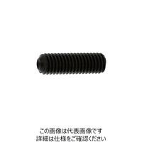 SUNCO ステンHS（極東製 くぼみ先 6×10 （1000本入） A0-02-500K-0060-0100-00 242-0156（直送品）