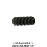 SUNCO 三価ブラック HS（ナガイ くぼみ先 2.5×5 （1000本入） 242-5242（直送品）