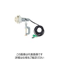 日動工業 NICHIDO レフ球投光器 100V 200W 5m アース付 2PNCT電線 AF-E205PN 1台 249-8736（直送品）