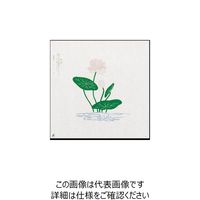 大黒工業 大黒 折掛紙 No.34 クレープ入 50900 1組(100枚) 235-5593（直送品）