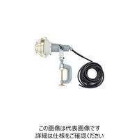 日動工業 NICHIDO レフ球投光器 200V 200W 10m アース付 2PNCT電線 AF-E210PN 1台 249-8744（直送品）