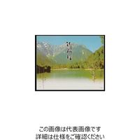 大黒工業 大黒 折掛紙 No.128 <コート> 94400 1組(100枚) 236-6656（直送品）