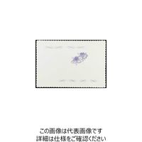 大黒工業 大黒 テーブルマット #995 カトレア 221160 1組(100枚) 236-8097（直送品）