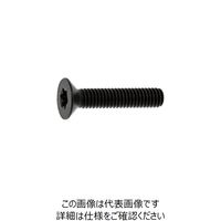 SUNCO BC TOR×ーサラCAP 新JIS 4×10 (1000本入) A0-00-T2J0-0040-0100-10（直送品）