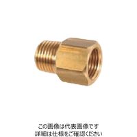 パルサーブル パルサールブ PT/NPTネジ規格変更継手 NPT1/4”F×NPT1/8”M A244 1個 237-2002（直送品）