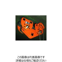 バイタル工業 バイタル ギヤードトロリー 10ton AG-90 1台 851-5901（直送品）