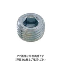 SUNCO ユニクロ GOSHOプラグ(沈み GM 1/8 (500本入) A0-00-5810-8010-0000-01 1箱(500本)（直送品）