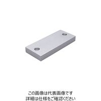 三好キカイ パイジョン AB3070F 1個 238-9918（直送品）